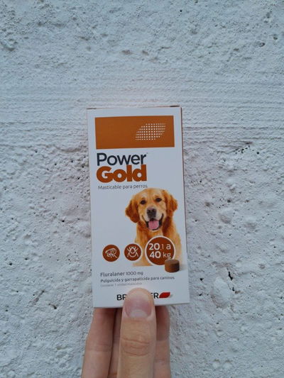 Comprimido Power Gold 20 a 40kg (3 meses)
