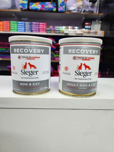 Lata Sieger recovery