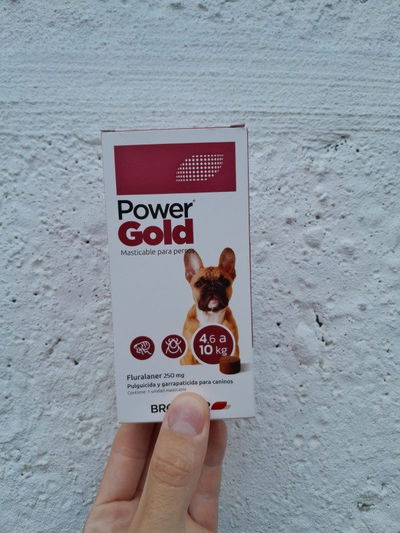 Comprimido Power Gold 4.5 a 10kg (3 meses)