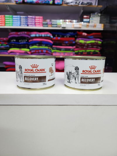 Lata Royal Canin recovery