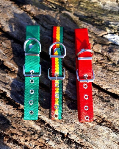 Collar nylon simple talle 2