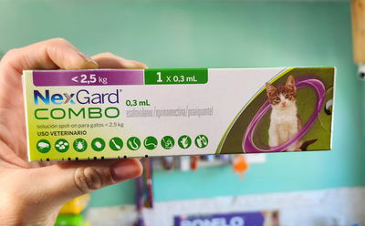 Pipeta NexGard combo gato hasta 2.5kg