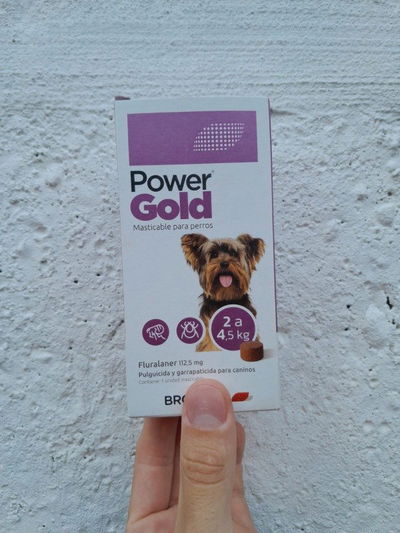 Comprimido Power Gold 2 a 4.5kg (3 meses)