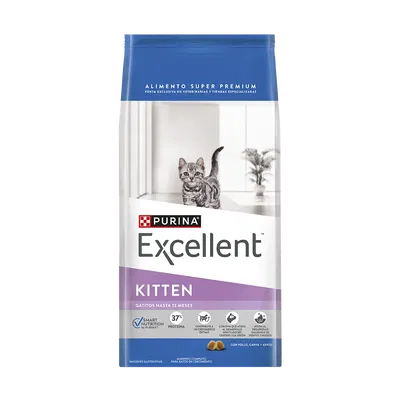 Excellent kitten 7.5kg