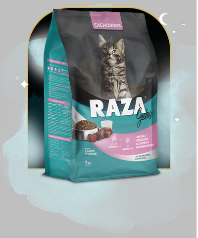 Raza gatitos 8kg