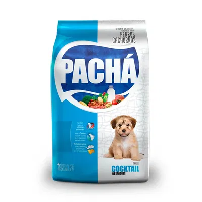 Pacha perro cachorro 10kg
