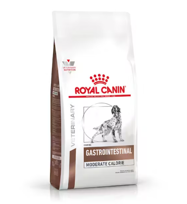 Royal Canin perro gastrointestinal 10kg