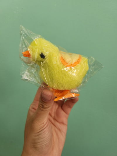 Juguete pollito a cuerda