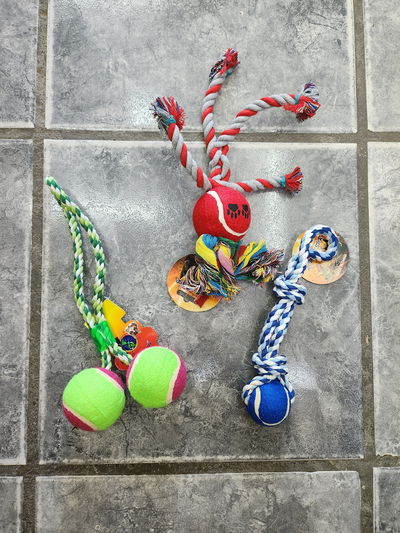 Juguete soga con pelota 