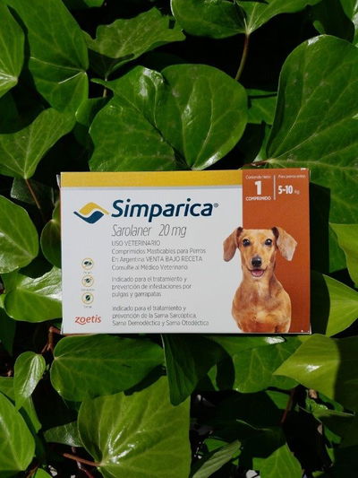 Comprimido Simparica perro 5 a 10kg