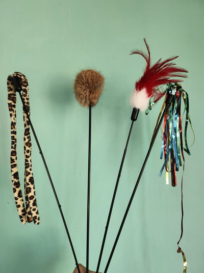 Juguete varita para gatos