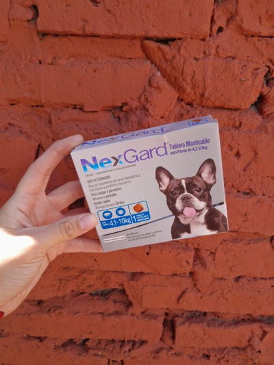 Comprimido NexGard perro 4 a 10kg
