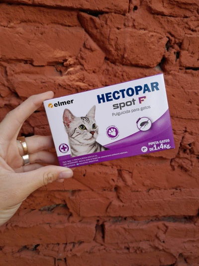 Pipeta Hectopar gato 1 a 4kg