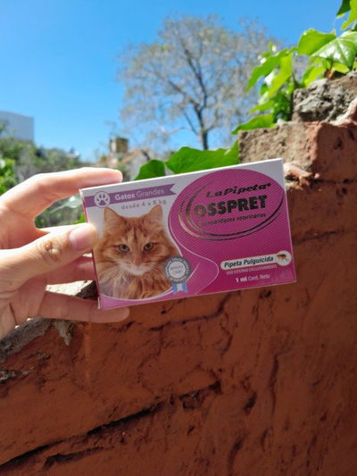 Pipeta Osspret gato 4 a 8kg