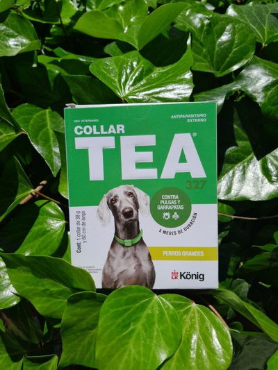 Collar TEA perro grande