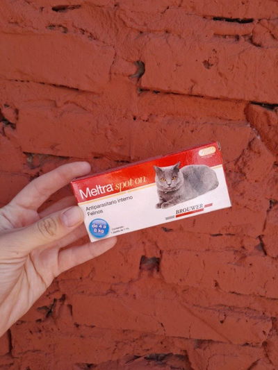Antiparasitario Meltra gato 4 a 8kg