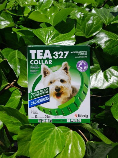 Collar TEA perro cachorro