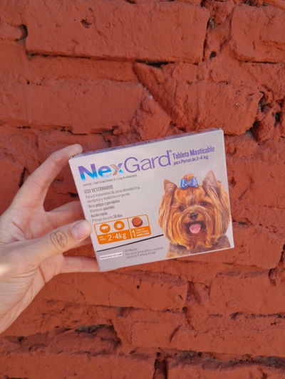 Comprimido NexGard perro 2 a 4kg