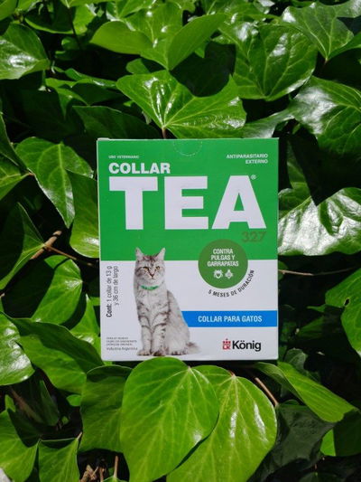 Collar TEA gato