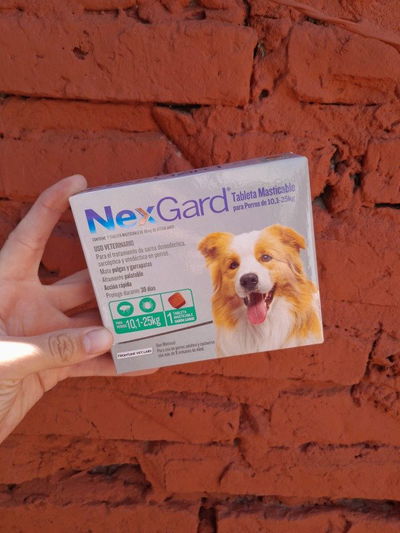 Comprimido NexGard perro 10 a 25kg