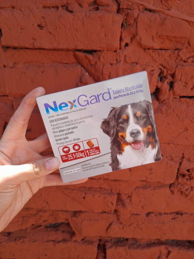 Comprimido NexGard perro 25 a 50kg