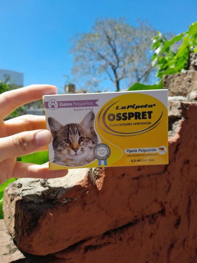 Pipeta Osspret gato hasta 4kg