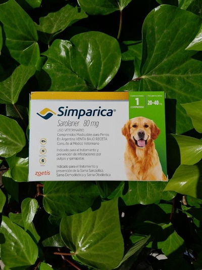 Comprimido Simparica perro 20 a 40kg