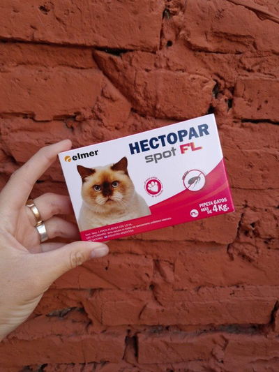 Pipeta Hectopar gato +4kg