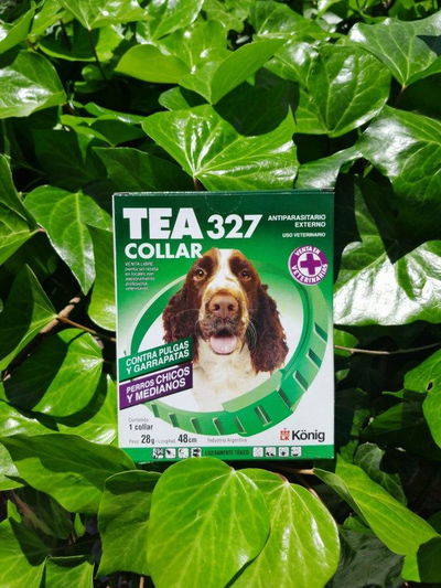 Collar TEA perro chico / mediano