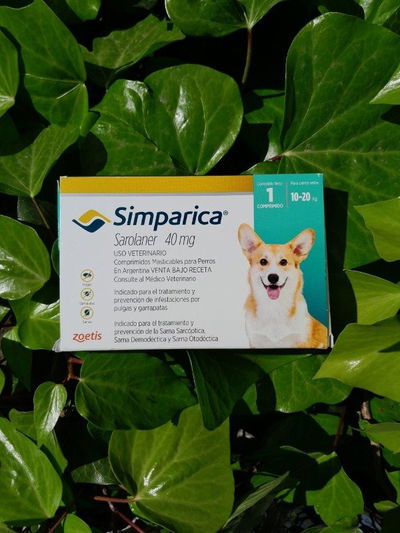Comprimido Simparica perro 10 a 20kg