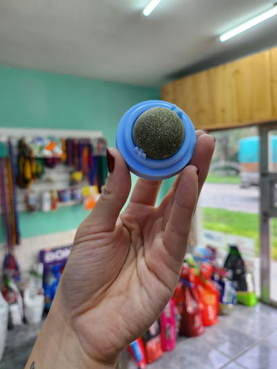 Cat nip autoadhesivo