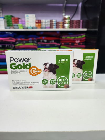 Comprimido Power Gold 10 a 20kg (1 mes)