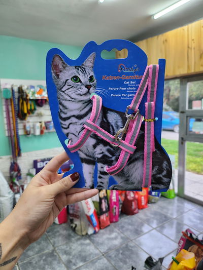 Arnés + correa para gatos