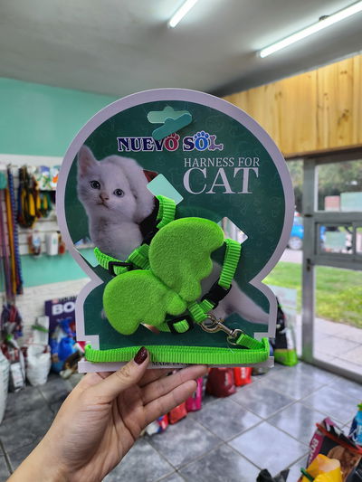Arnés + correa para gatos con alas