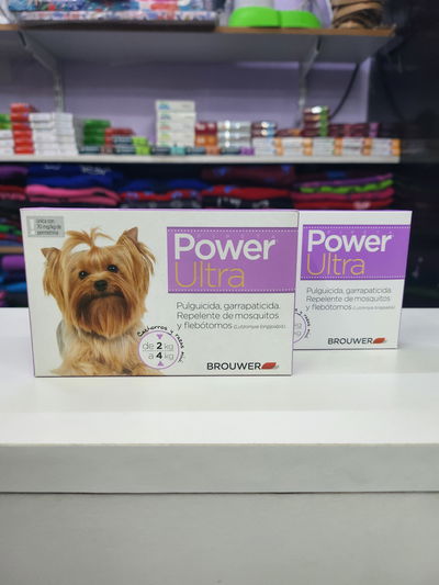 Pipeta Power perro 2 a 4kg