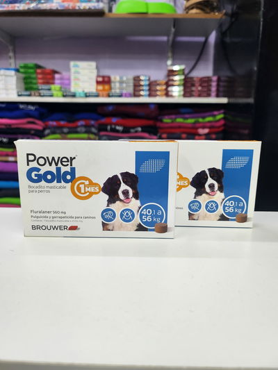 Comprimido Power Gold 40 a 56kg (1 mes)