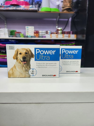 Pipeta Power perro 21 a 40kg