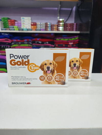 Comprimido Power Gold 20 a 40kg (1 mes)