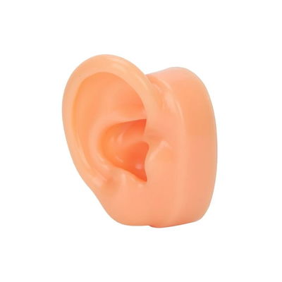 Oreja exhibidor de silicona 