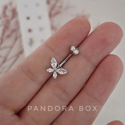Omb. Mariposa zirconia - Titanio