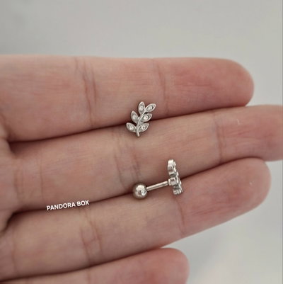 Barbell Ramita strass