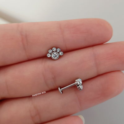 Labret multi strass