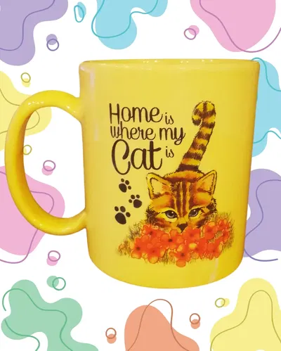 Taza Cats & Kittens #3