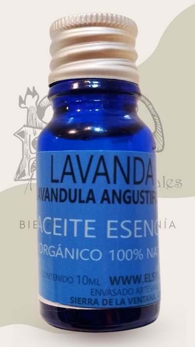 LAVANDA (lavandula angustifolia) - aceite esencial