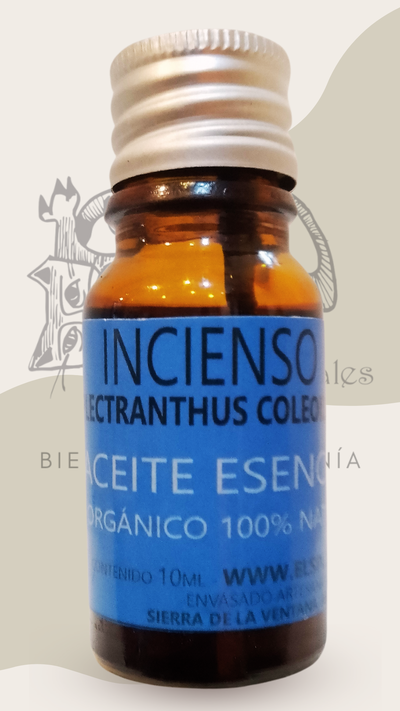 INCIENSO (plectranthus coleoides) - aceite esencial