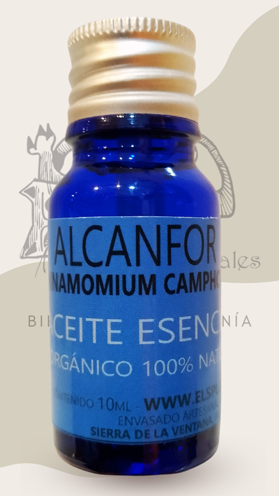 ALCANFOR (cinnamomum camphora) - aceite esencial