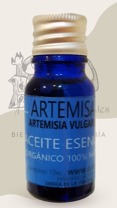 ARTEMISA ( artemisia vulgaris) - aceite esencial