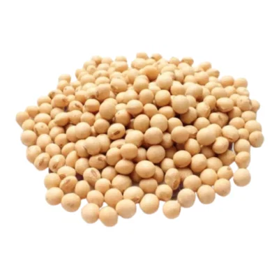 [MAYORISTA] Porotos de Soja