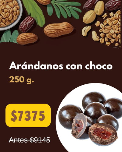 (PROMO) Arándanos con chocolate 250 g.