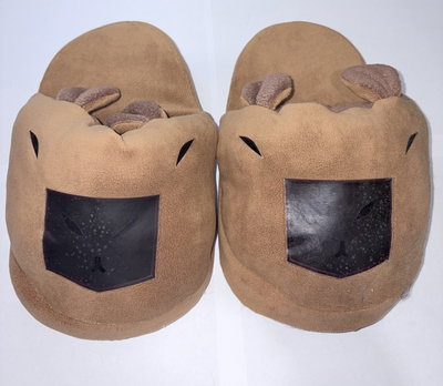 Pantuflas Capibara del 36 al 39 (talle único)